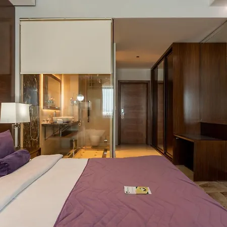 酒店 A - Grand&sky Tornik 兹拉蒂博尔